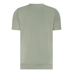 Soft Olive Green